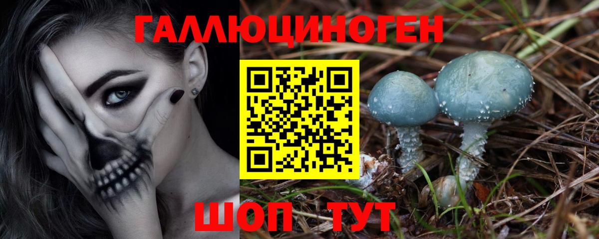 Алушта  Галлюциногенные грибы Magic Shrooms  Вход с VPN 